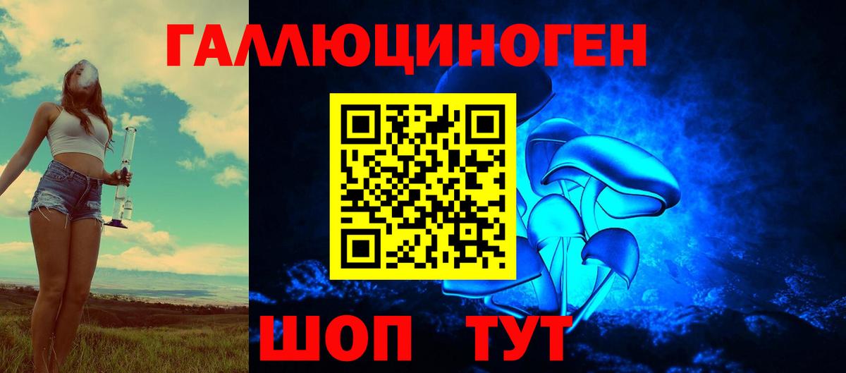 Александров  Псилоцибиновые грибы Psilocybine cubensis  Вход с VPN  Галлюциногенные грибы мицелий 